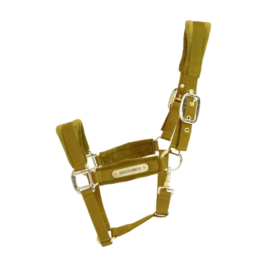 Cabezada de cuadras Kentucky Velvet cabezada de cuadra Mustard para equitación