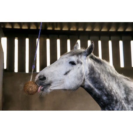 Alimento complementario - Stall Ball Ligero - Likit