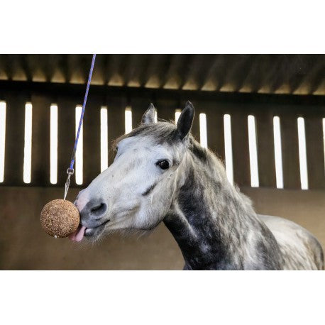 Alimento complementario - Stall Ball Ligero - Likit