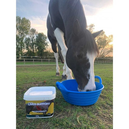 Alimento complementario - Liver Support - Naf