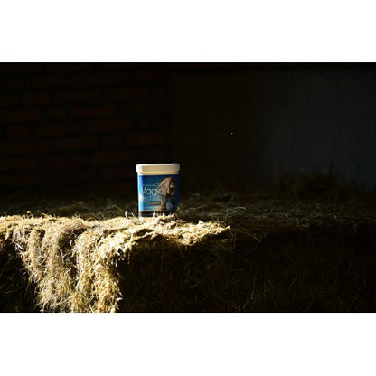Alimento complementario - Magic Powder - Naf - Naf