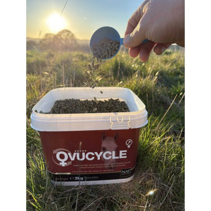 Alimento complementario Ovucycle - Naf