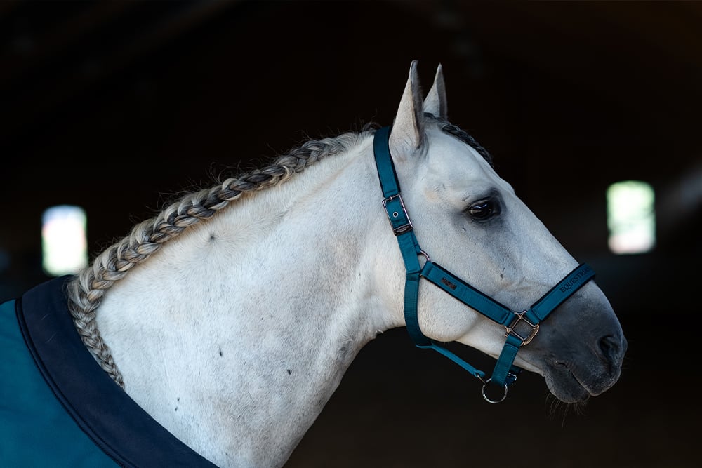 Clean Halter & Lead Rope Equestrian Stockholm Halter & Lead Rope Aurora Blues detalle 3