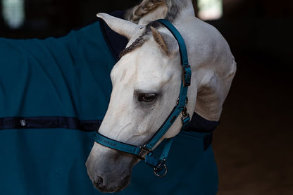 Clean Halter & Lead Rope Equestrian Stockholm Halter & Lead Rope Aurora Blues detalle 4