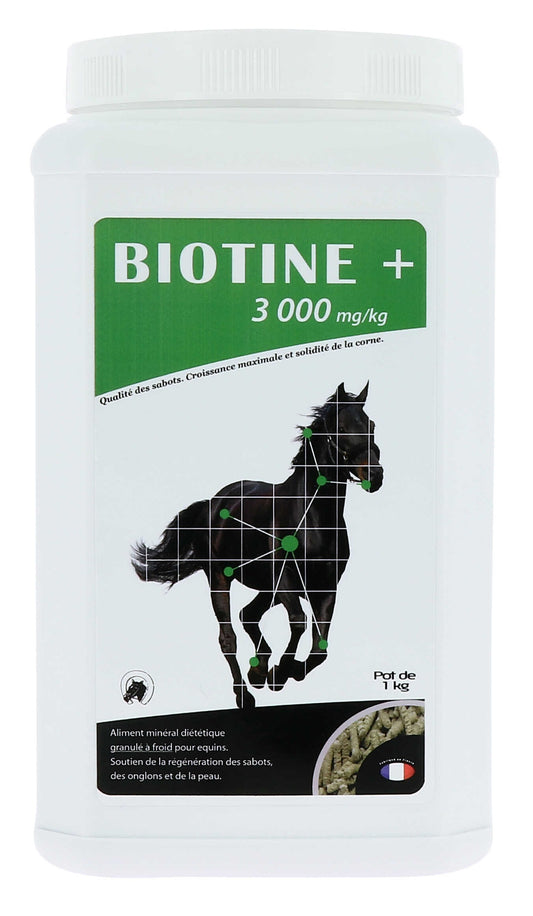 Biotina - Biotine+ 3000 mg/kg - Odm