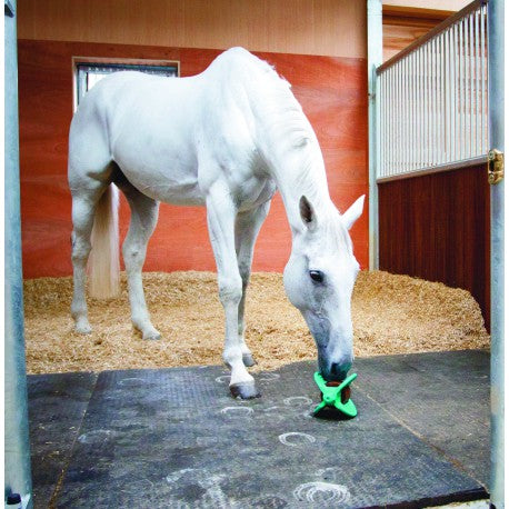 Bizzy Ball - Bizzy Horse