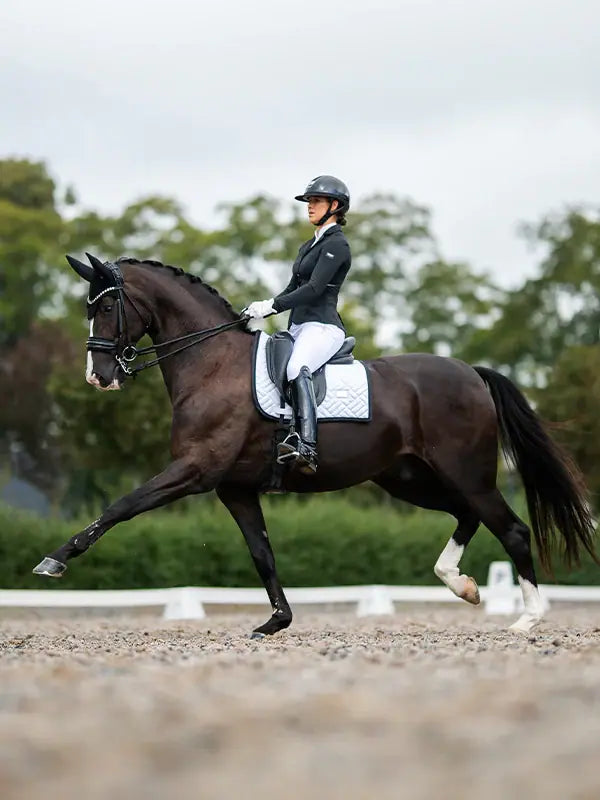 Mantilla Doma Modern White Black Edition Equestrian Stockholm