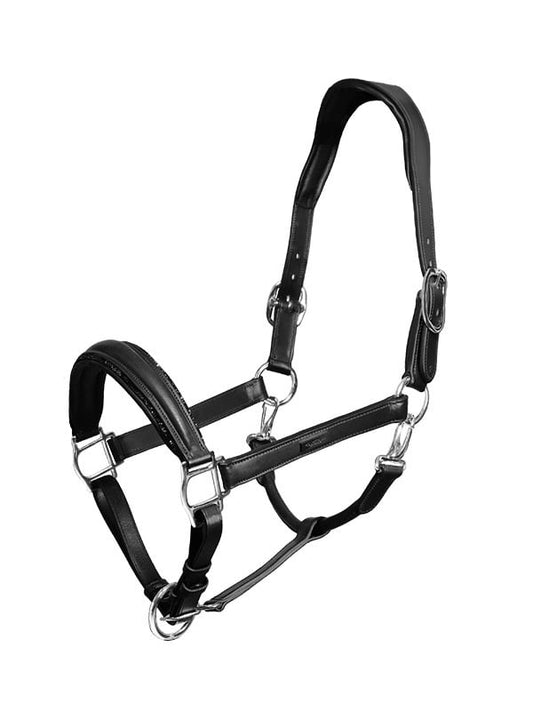 Anatomic Glimmer Leather cabezada de cuadra Equestrian Stockholm Glimmer Anatomic Leather para equitación