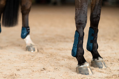 Calzado ecuestre Equestrian Stockholm Anatomic Tendon Boots Blue Meadow detalle 4