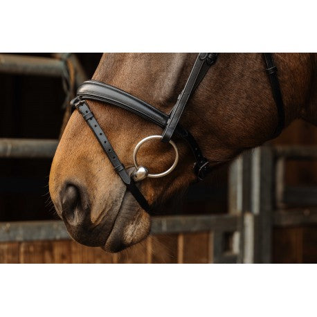 Embocaduras Bocado PRO - Dark - Norton para equitación