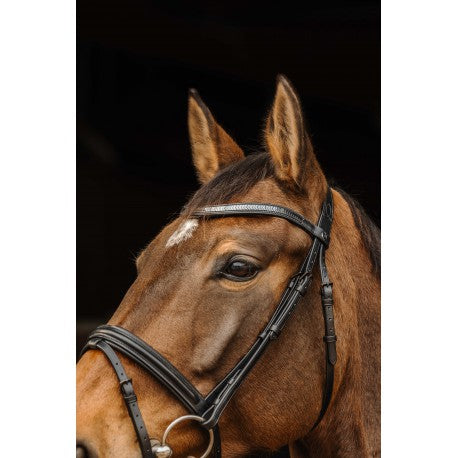 Embocaduras Bocado PRO - Galón - Norton para equitación