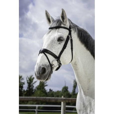 Embocaduras Bocado PRO - Soft - Norton para equitación - vista 2