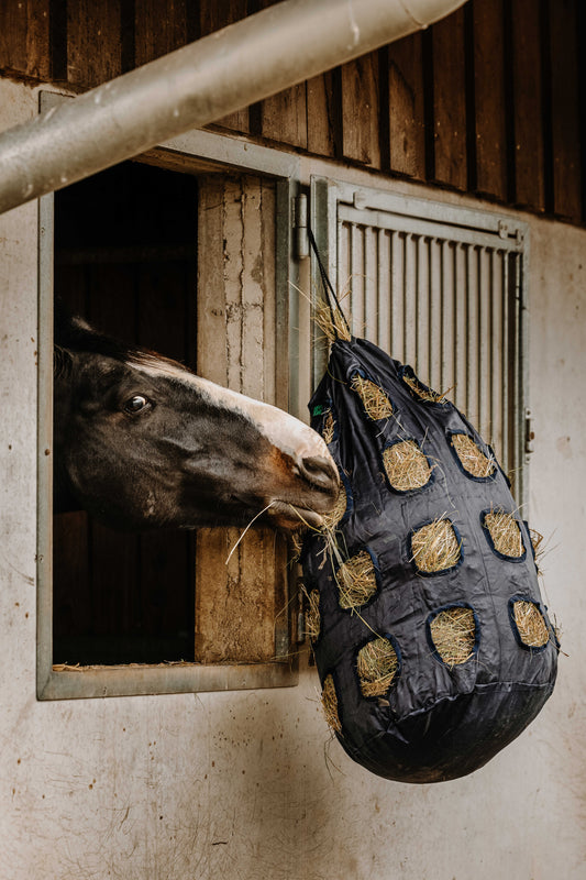 Bolsa de Heno con Agujero - Hippotonic