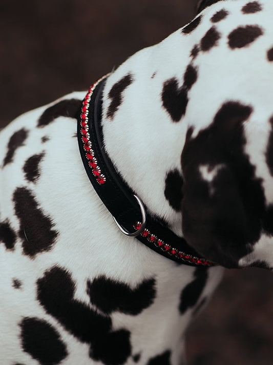 Accesorio ecuestre Dog Collar Equestrian Stockholm Dog Collar Bordeaux para equitación - vista 2