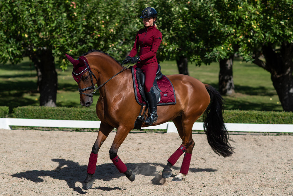 Riding Breeches Elite Equestrian Stockholm Riding Breeches Elite Bordeaux detalle 9