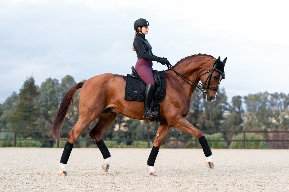 Riding Breeches Elite Equestrian Stockholm Riding Breeches Elite Merlot detalle 8