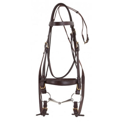 Brida CLUB - Caballo de tiro - Norton para equitación