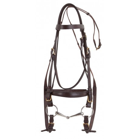 Brida CLUB - Caballo de tiro - Norton para equitación