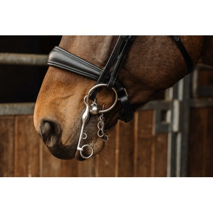 Cabezadas Brida PRO - Basal - Norton para equitación - vista 4