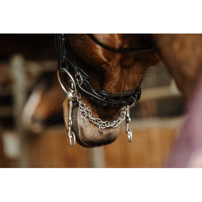 Cabezadas Brida PRO - Basal - Norton para equitación - vista 5