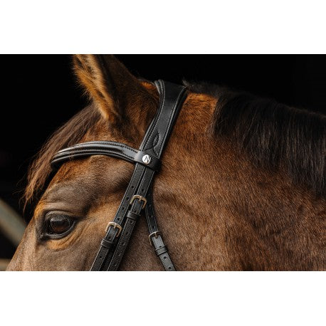 Cabezadas Brida PRO - Basal - Norton para equitación