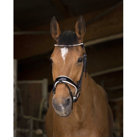 Brida PRO - Bella - Norton - Norton