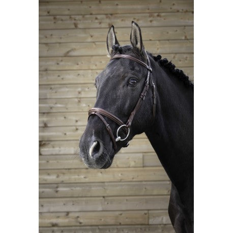 Embocaduras Brida PRO - Fina - Norton para equitación - vista 3