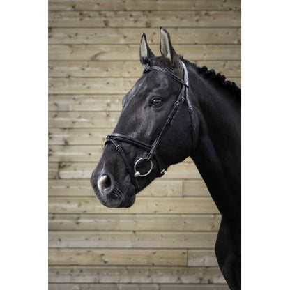 Embocaduras Brida PRO - Fina - Norton para equitación - vista 5