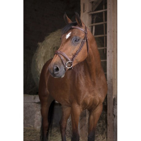 Embocaduras Brida PRO - Fina - Norton para equitación