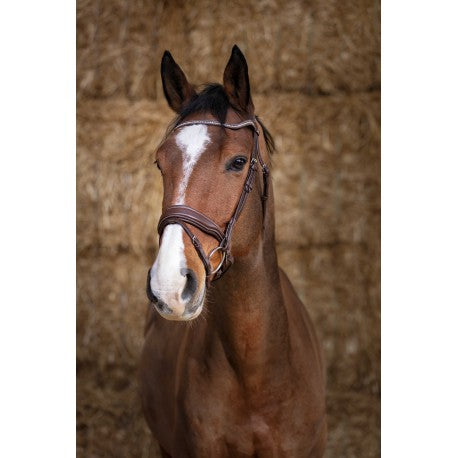 Embocaduras Brida PRO - Miss - Norton para equitación - vista 2
