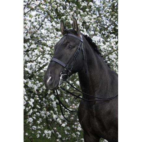 Cabezadas Bridas - Riding World para equitación - vista 2