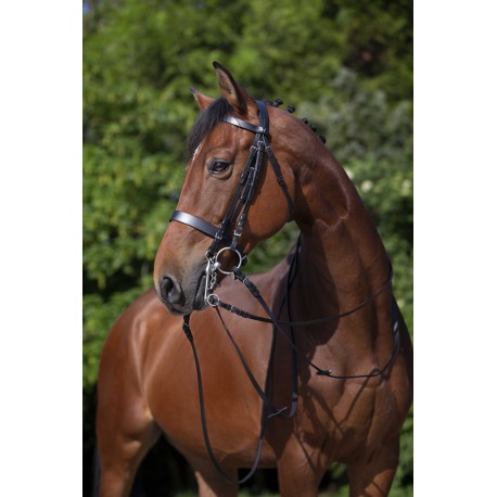 Cabezadas Bridas - Riding World para equitación