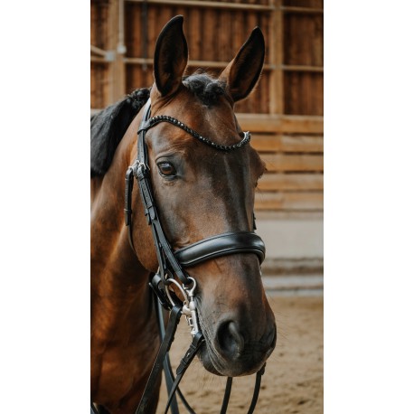 Accesorio ecuestre Bride - Onyx - Norton para equitación - vista 2
