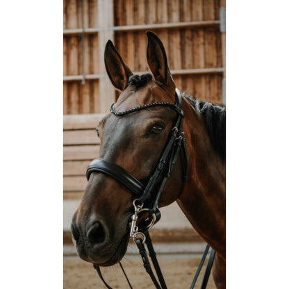 Accesorio ecuestre Bride - Onyx - Norton para equitación - vista 4