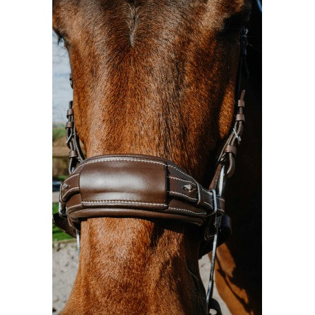 Bridon Hackamore - Compet - Norton