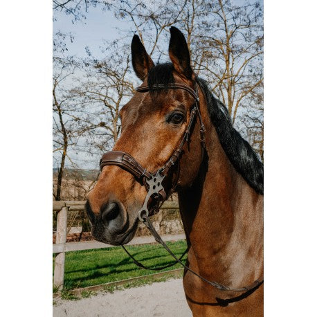 Bridon Hackamore - Compet - Norton