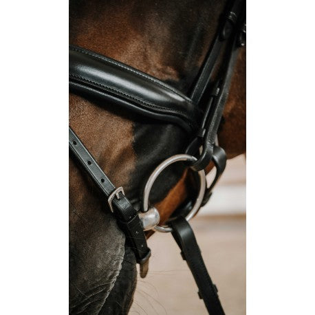 Embocaduras Bridon - Diams - Norton para equitación