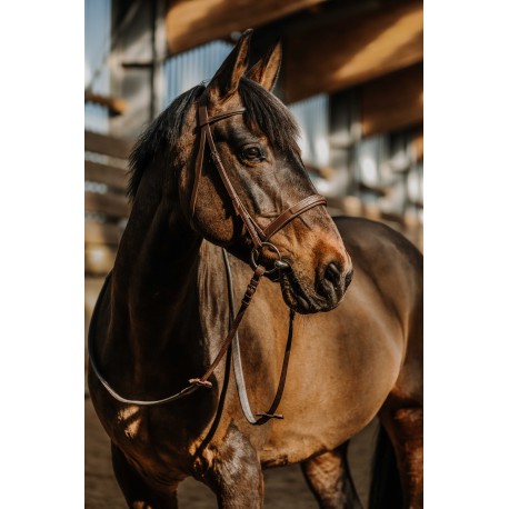 Embocaduras Bridon - Hunter - Norton para equitación - vista 2