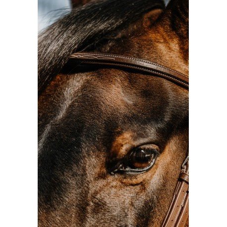 Embocaduras Bridon - Hunter - Norton para equitación - vista 5