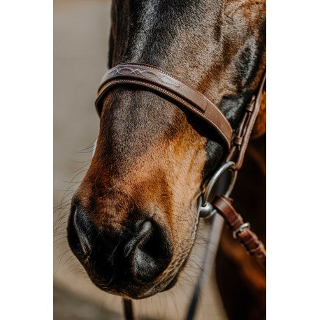 Embocaduras Bridon - Hunter - Norton para equitación - vista 4