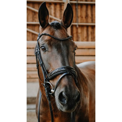 Bridon - Royal - Norton - Norton