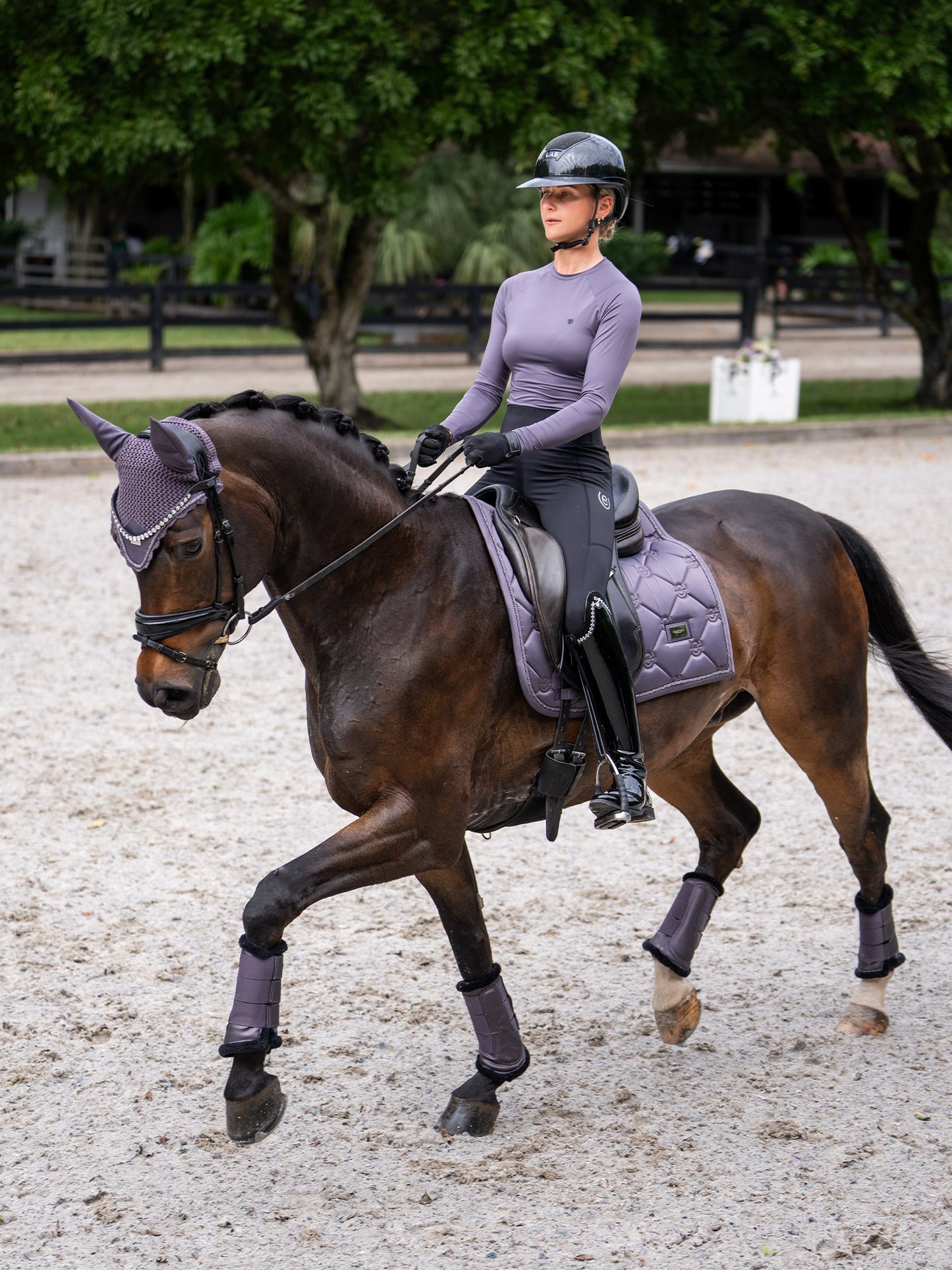 Dressage Saddle Pads Equestrian Stockholm Dressage Saddle Pad Dark Violet detalle 5