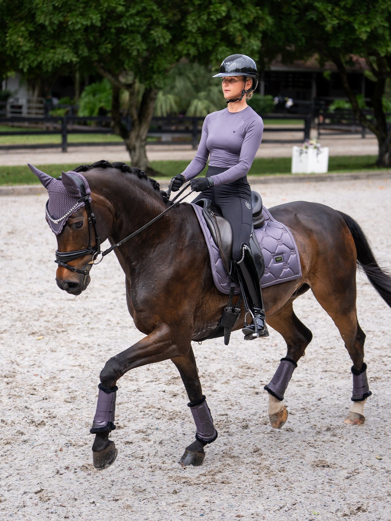 Dressage Saddle Pads Equestrian Stockholm Dressage Saddle Pad Dark Violet detalle 5