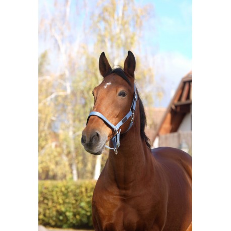 Cabestro de Nylon - Spring - Equitheme - Equitheme