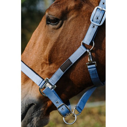 Cabestro de Nylon - Spring - Equitheme