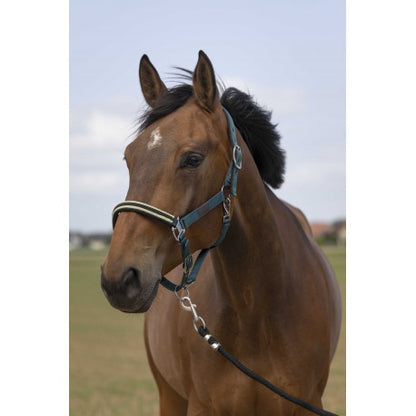 Cabestro - Nylon Chevron - Equithème