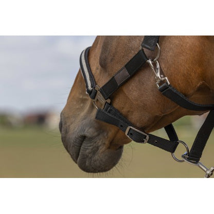 Cabestro - Nylon Chevron - Equithème