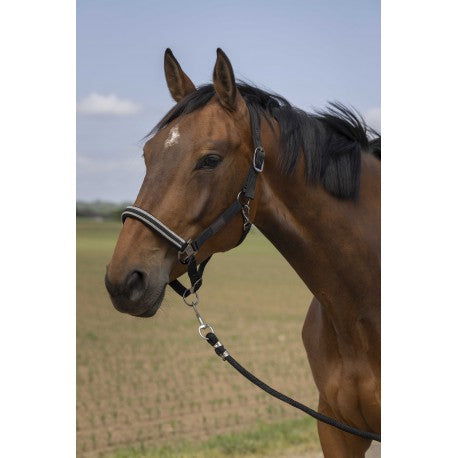 Cabestro - Nylon Chevron - Equithème