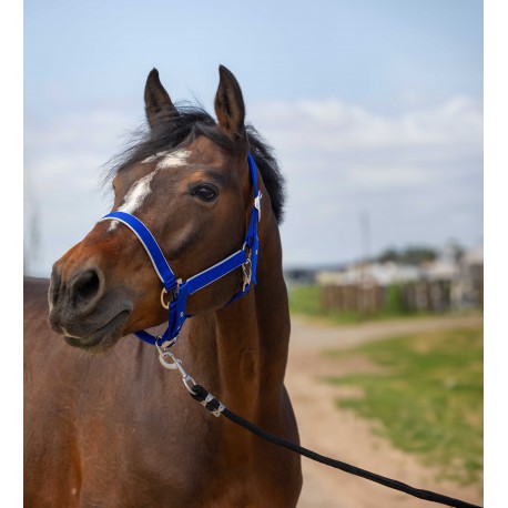 Cabezadas Cabestro - Nylon ligero - Equithème para equitación - vista 5