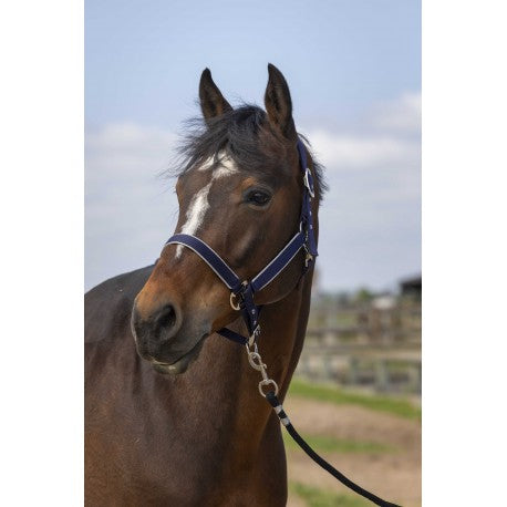 Cabezadas Cabestro - Nylon ligero - Equithème para equitación - vista 6